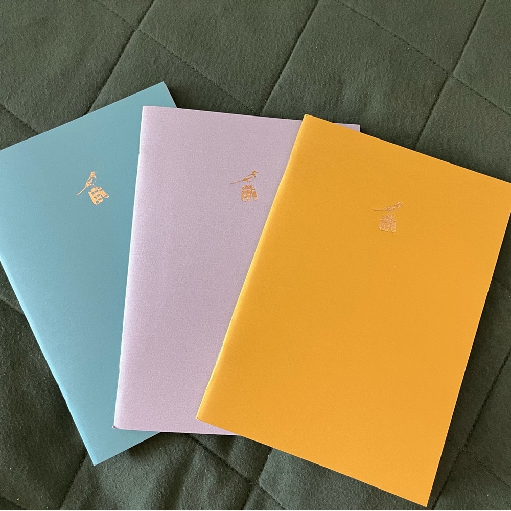 Set of Three Colorful Notebooks